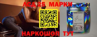 СК Можга