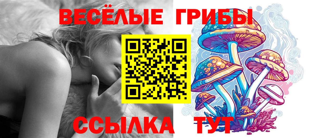Псилоцибиновые грибы Psilocybe Хасавюрт