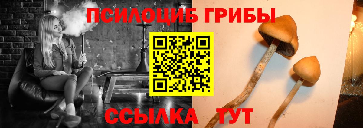 Хасавюрт  наркотики  Вход с VPN  Галлюциногенные грибы Cubensis 